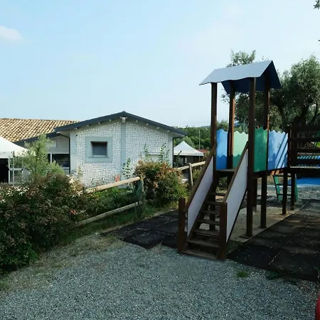 L'ulivo