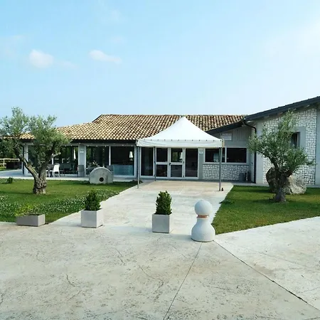 L'ulivo *
