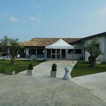 L'ulivo Amaroni