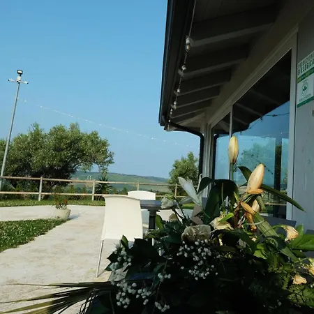 L'ulivo *